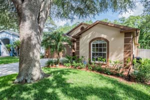 11141 INDIAN OAKS DRIVE, TAMPA, FL 33625 Sold 07/30/24
