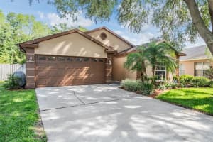 11141 INDIAN OAKS DRIVE, TAMPA, FL 33625 Sold 07/30/24