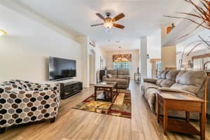 11141 INDIAN OAKS DRIVE, TAMPA, FL 33625 Sold 07/30/24
