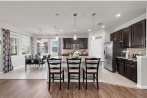 11343 EMERALD SHORE DRIVE, RIVERVIEW, FL 33579 Sold 10/17/24