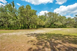 13037 SADDLEBACK TRAIL, SPRING HILL, FL 34610 Sold 04/10/25