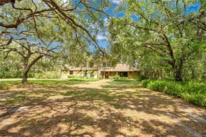 16835 OLD MOULTON ROAD, SPRING HILL, FL 34610 Sold 04/10/25