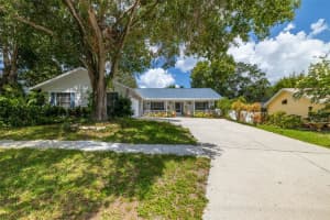 4936 Mineola Pl, PALM HARBOR