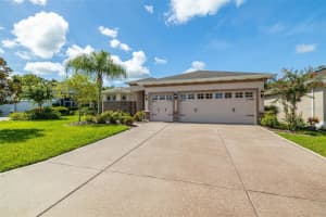 29388 GRASS BUNKER DRIVE, SAN ANTONIO, FL 33576 Sold 02/20/25