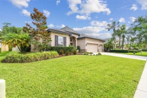 23305 GRACEWOOD CIRCLE, LAND O LAKES, FL 34639 Sold 07/25/24