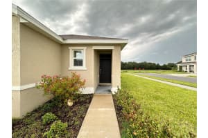 33593 APRICOT TREE COURT, WESLEY CHAPEL, FL 33543 Sold 10/04/24