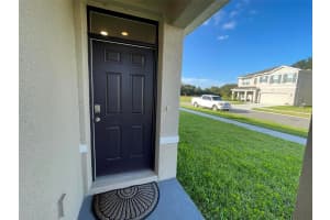 33593 APRICOT TREE COURT, WESLEY CHAPEL, FL 33543 Sold 10/04/24