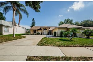 3122 SUMMERVALE DRIVE, HOLIDAY, FL 34691 Sold 11/18/24