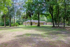 8115 SHENANDOAH RUN, WESLEY CHAPEL, FL 33544 Sold 12/20/24