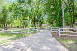 8115 SHENANDOAH RUN, WESLEY CHAPEL, FL 33544 Sold 12/20/24
