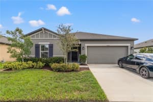 12174 CRIOLLO ROAD, SPRING HILL, FL 34610 Sold 11/04/24