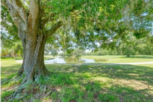 15652 EASTBOURN DRIVE, ODESSA, FL 33556 Sold 11/14/24