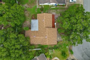 2859 OAK TREE LANE, PALM HARBOR, FL 34684 Sold 09/27/24