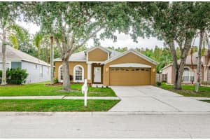 10316 GOLDENBROOK WAY, TAMPA, FL 33647 Sold 08/16/24