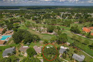 3252 HILARY CIRCLE, PALM HARBOR, FL 34684 Sold 11/05/24
