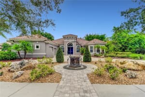 9227 TILLINGHAST DRIVE, TAMPA, FL 33626 Sold 10/01/24