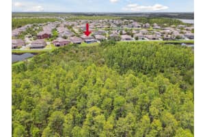 18786 MILTON KEYNES COURT, LAND O LAKES, FL 34638 Sold 11/07/24