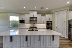 241 5TH AVENUE, SAFETY HARBOR, FL 34695 - MLS#MFRU8249085
