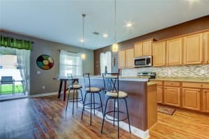 13503 FREEMARK BRIAR PLACE, RIVERVIEW, FL 33579 Sold 10/21/24