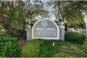 2319 LAKE HEATHER HEIGHTS COURT, DUNEDIN, FL 34698 Sold 10/26/24
