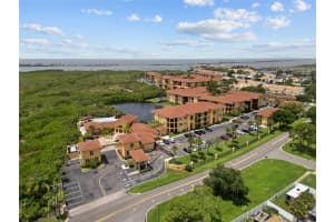 4316 BAYSIDE VILLAGE DRIVE, TAMPA, FL 33615 Sold 08/26/24