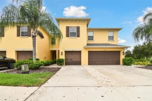 9412 TRUMPET VINE LOOP, TRINITY, FL 34655 Sold 08/15/24