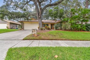 5 FERNERY LANE, SAFETY HARBOR, FL 34695 Sold 12/30/24