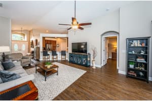 331 BAY ARBOR BOULEVARD, OLDSMAR, FL 34677 Sold 10/29/24