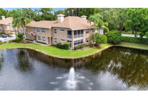 4205 PRESERVE PLACE, PALM HARBOR, FL 34685 Sold 12/13/24