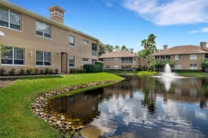 4205 PRESERVE PLACE, PALM HARBOR, FL 34685 Sold 12/13/24