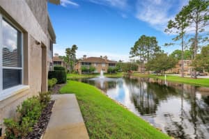 4205 PRESERVE PLACE, PALM HARBOR, FL 34685 Sold 12/13/24