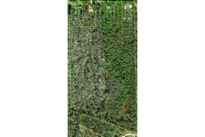 9431 TOM COSTINE ROAD, LAKELAND, FL 33809 - MLS#MFRU8249859