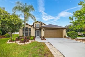 4053 DICKINSON PLACE, LAND O LAKES, FL 34639 Sold 08/19/24