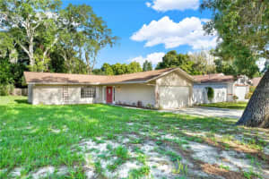 719 DISSTON AVENUE, TARPON SPRINGS, FL 34689 Sold 09/16/24