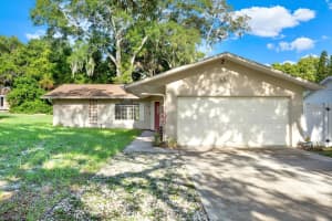 719 DISSTON AVENUE, TARPON SPRINGS, FL 34689 Sold 09/16/24