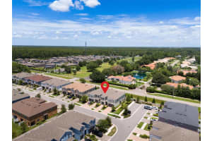 3203 PAINTED BLOSSOM COURT, LUTZ, FL 33558 Sold 09/23/24