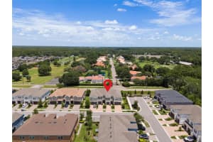 3203 PAINTED BLOSSOM COURT, LUTZ, FL 33558 Sold 09/23/24