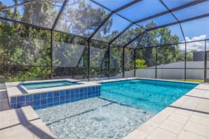 12527 CANDLEBERRY CIRCLE, TAMPA, FL 33635 Sold 10/17/24