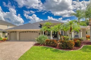 12623 PORTMARNOCK DRIVE, ODESSA, FL 33556 Sold 11/22/24