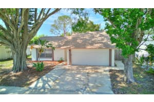 7737 ANAHEIM AVENUE, NEW PORT RICHEY, FL 34655 Sold 12/30/24