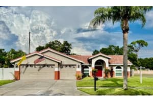 310 OSPREY LANE, PALM HARBOR, FL 34683 Sold 02/26/25