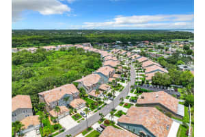 1700 ARABIAN LANE, PALM HARBOR, FL 34685 Sold 02/03/25