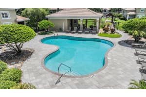 3343 COVERED BRIDGE DRIVE, DUNEDIN, FL 34698 Sold 09/10/24