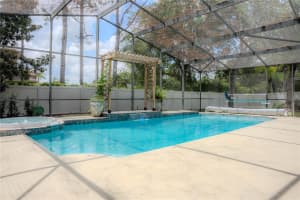 7323 NIGHT HERON DRIVE, LAND O LAKES, FL 34637 Sold 08/01/25