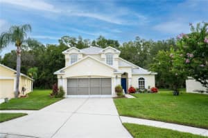 4426 STONES RIVER COURT, NEW PORT RICHEY, FL 34653 Sold 02/10/25