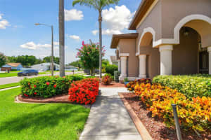 2632 SADDLEWOOD LANE, PALM HARBOR, FL 34685 Sold 09/20/24