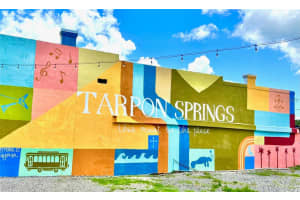 644 BAYSHORE DRIVE, TARPON SPRINGS, FL 34689 - MLS#MFRU8251270