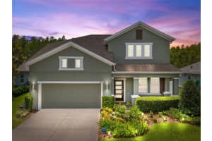 2831 SATILLA LOOP, ODESSA, FL 33556 Sold 09/03/24