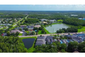 102 CUTLASS WAY, OLDSMAR, FL 34677 Sold 10/15/24