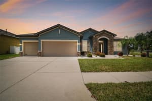 11705 NEWBERRY GROVE LOOP, RIVERVIEW, FL 33579 Sold 12/31/24